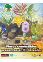 Flores Comestibles en El Salvador