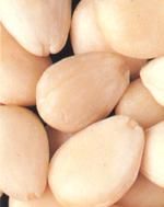 http://www.frutas-hortalizas.com/img/fruites_verdures/83a.jpg