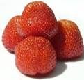 Fresa