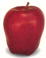 http://www.frutas-hortalizas.com/img/fruites_verdures/84a.jpg