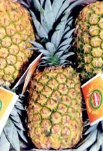 http://www.frutas-hortalizas.com/img/fruites_verdures/27a.jpg