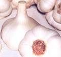 http://www.frutas-hortalizas.com/img/fruites_verdures/92a.jpg