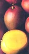 http://www.frutas-hortalizas.com/img/fruites_verdures/18a.jpg
