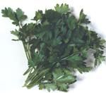 http://www.frutas-hortalizas.com/img/fruites_verdures/56a.jpg