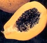 http://www.frutas-hortalizas.com/img/fruites_verdures/23a.jpg