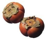 http://www.frutas-hortalizas.com/img/fruites_verdures/13a.jpg
