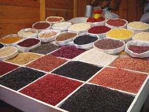 http://www.liberterre.fr/gaiagnostic/semillas/z-photos-frijol/Haricots-Chiapas.jpg