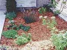 http://articulos.infojardin.com/articulos/Fotos_malas_hierbas_1/parterre-acolchado-2.jpg