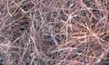 http://articulos.infojardin.com/articulos/Fotos_malas_hierbas_1/acolchado_aciculas_pino.jpg