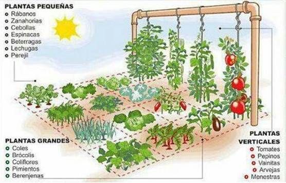 http://organicsa.net/organicsa/Huerta_de_1_m2.jpg