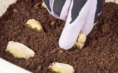 http://cdna.labioguia.com/images/articles/5672a89f65f05_crop.jpg