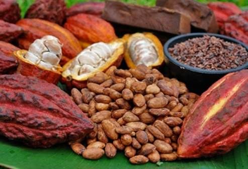 ranos cacao