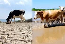 ransición de El Niño a La Niña en Colombia, recomendaciones para invierno y verano en Colombia, pasos a tener en cuenta durante El Niño y La Niña