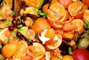 alle del Cauca, Tuluá, Cooperativa de Ganaderos del Centro y Norte del Valle, Cogancevalle, Productora de jugos, Alimentación para el ganado, alimentación alternativa, ensilaje, fenónemo de El Niño, afectaciones colombia fenómeno de el niño, escasez de pasto, oferta de forraje, CONtexto ganadero, ganadería Colombia