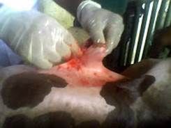 http://1.bp.blogspot.com/_3Jj83dAL638/TJKPw3rpfKI/AAAAAAAAA7E/oPXn6V4iUZU/s200/14-09-10_085026.jpg