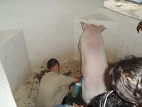 http://1.bp.blogspot.com/_3Jj83dAL638/TOGsVv2ndXI/AAAAAAAAA_8/ouzv6Kum8ZI/s200/100_0283.JPG