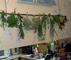 http://articulos.infojardin.com/articulos/fotos-flores-secas/metodos-secado/secando-hierbas.jpg