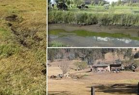 onsecuencias del verano, Problemas de la ganadería en Colombia, Problemas en la ganadería por cuenta del verano, Fenómeno de El Niño, afectaciones colombia fenómeno de el niño, afectaciones a ganaderos, grietas en el suelo, manejo de basuras en predios ganaderos, acceso a créditos, línea de retención de vientres, aguas contaminadas, CONtexto ganadero, ganaderos Colombia