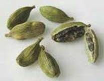 http://articulos.infojardin.com/boletin/fotos-diciembre-05/afrodisiacas-cardamomum.jpg