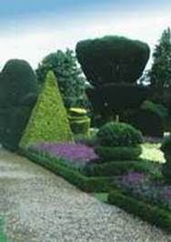 http://articulos.infojardin.com/arbustos/fotos-poda-topiaria/jardin-formal.jpg