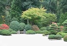 http://articulos.infojardin.com/arbustos/fotos-poda-topiaria/jardin-japones.jpg