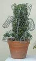 http://articulos.infojardin.com/arbustos/fotos-poda-topiaria/malla-ositos.jpg