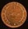 http://articulos.infojardin.com/trucos/Imagenes_nov/Flores/moneda_cobre.jpg