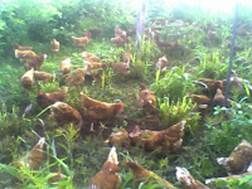 http://1.bp.blogspot.com/_3Jj83dAL638/TOb7kncGJsI/AAAAAAAABB0/Bca6wRVDbcQ/s200/15-09-10_065614.jpg