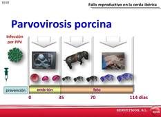 http://image.slidesharecdn.com/presentacinmonesterio-120121120116-phpapp02/95/presentacin-monesterio-28-728.jpg?cb=1327147514