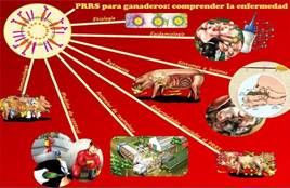 http://www.pigchamp-pro.com/wp-content/uploads/2014/11/PRRS.jpg