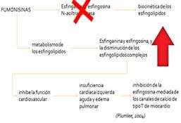http://1.bp.blogspot.com/-Q04naG-iWWM/Vja1fypLtQI/AAAAAAAABWk/BB_puWxzYdI/s1600/gg.png