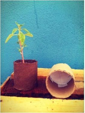 lmácigos biodegradables