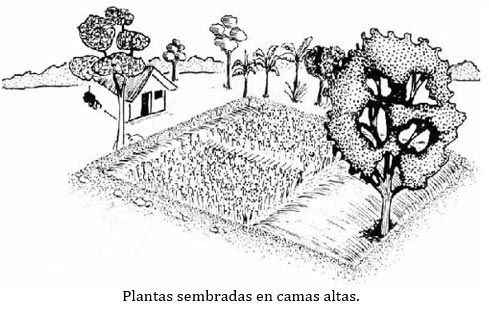http://www.fao.org/docrep/v5290s/v5290s15.jpg