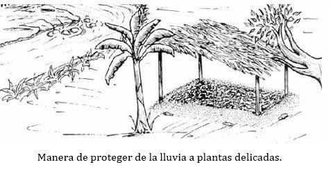 http://www.fao.org/docrep/v5290s/v5290s16.jpg