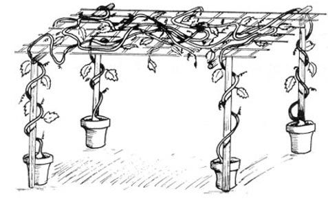 http://www.fao.org/docrep/v5290s/v5290s17.jpg