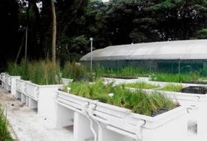 rea experimental Jardín Botánico de Bogotá