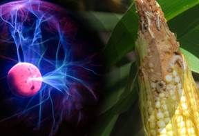 ndas electromagnéticas agro