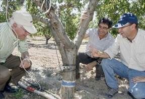 istema de control de riego por remoto