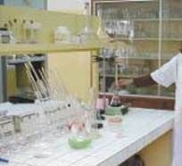 http://articulos.infojardin.com/articulos/fotos-carencias-nutrientes/analisis-hoja.jpg