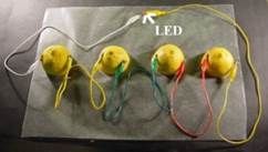 onectando varios limones
