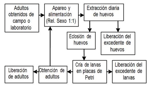 onografias.com