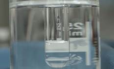 http://cdna.labioguia.com/images/articles/568bd40124e0b_crop.jpg