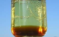 http://cdna.labioguia.com/images/articles/568bd40152a59_crop.jpg