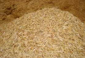 sos de la cáscara de arroz