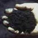 http://articulos.infojardin.com/articulos/Fotos_riego/riego_ahorrar_agua/materia_organica.jpg