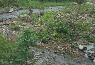 osechar agua