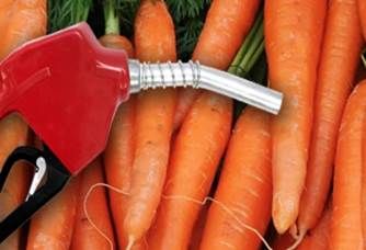 iocombustible con base en zanahorias