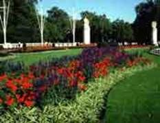 http://articulos.infojardin.com/articulos/fotos-jardineria-ecologica/borde-cesped.jpg