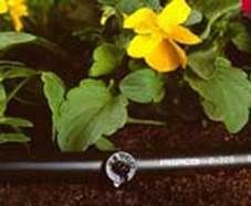 http://articulos.infojardin.com/articulos/fotos-jardineria-ecologica/goteo-boton.jpg
