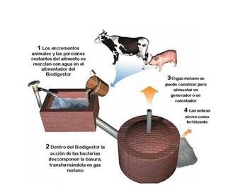 http://2.bp.blogspot.com/-iejyBLMLbqg/T15IQ_DDC-I/AAAAAAAAAAg/-PaRSN0NMS4/s1600/biodigestor.bmp